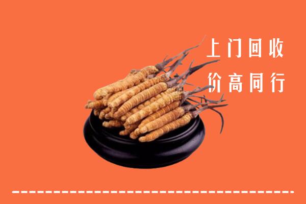 高价求购：宿迁回收散虫草